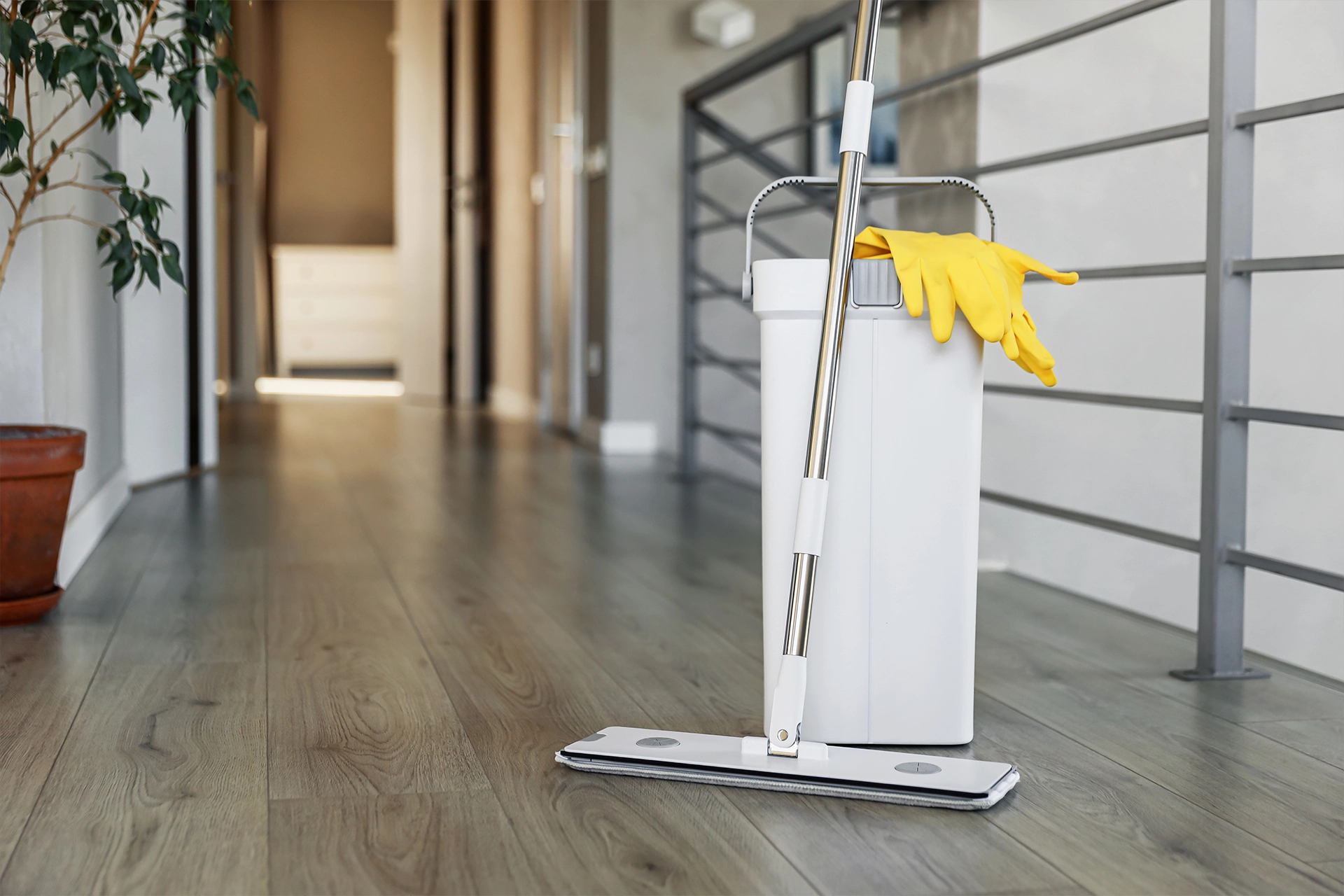 Specialist Cleaning